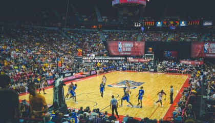 问鼎娱乐官网-前足球巨星哈姆西克退役投身农业，与妻共养29只鸡，鸡蛋丰盈乐享田园